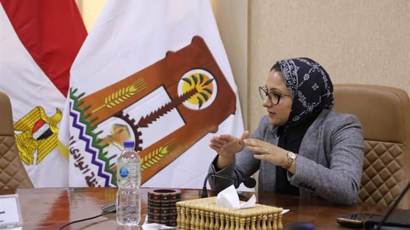 نائب محافظ الوادى