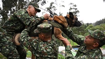 فرحة العثور على 4 أطفال مفقودين  لم تكتمل لهذا السبب 