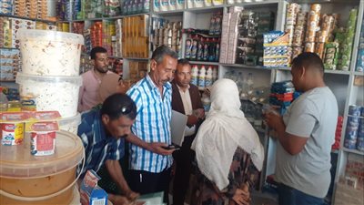 تحرير 21 محضرا ومخالفة تموينية بالقنطرة شرق الإسماعيلية (صور) 