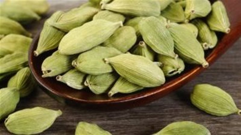 فوائد الحبهان، فيتو