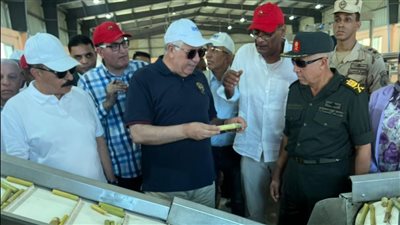 بتكنولوجيا مصرية، بدء الإنتاج في أول محطة لشتلات القصب في أسوان بتكلفة 300 مليون جنيه