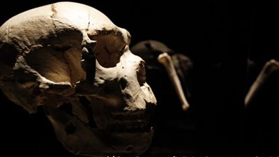 فريق من العلماء يكشف أسرارا عن الإنسان عمرها 86 ألف سنة 