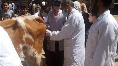 إنشاء 11 مجمعا زراعيا.. أهم مشروعات الجيزة بالصف وأطفيح