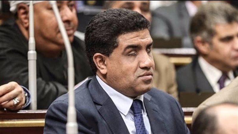 النائب خالد حنفى،فيتو