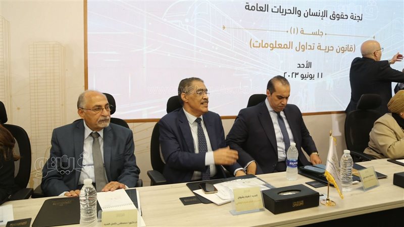 الحوار الوطنى،فيتو