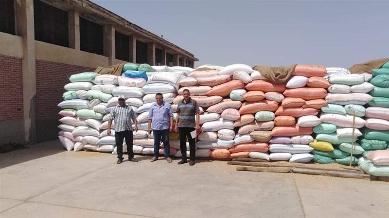 أعمال توريد القمح