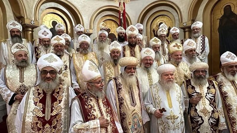 ايبارشية سوهاج, فيتو