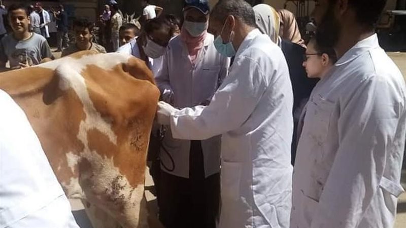 إنشاء خدمات بيطرية