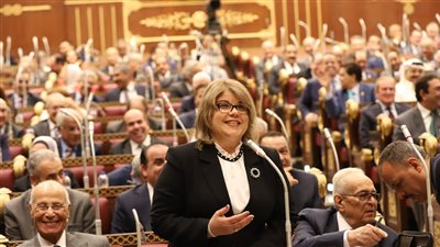 وكيل مجلس الشيوخ: تطوير القطاع التعاونى يؤدى إلى استعادة دوره الحيوي