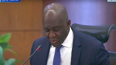 رئيس مؤسسة التمويل الدولية: نسعى إلى بناء اقتصاد مستدام من خلال شراكتنا مع مصر (فيديو)