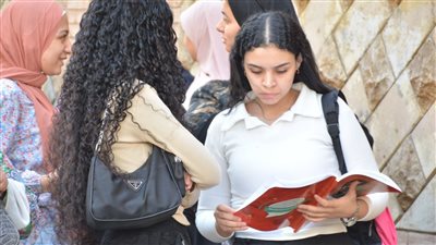 درجات مواد الثانوية العامة، توزيع درجات اللغة العربية 