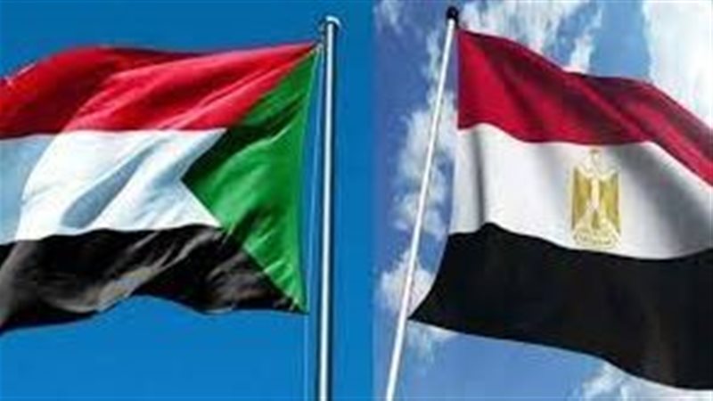 العلاقات المصرية
