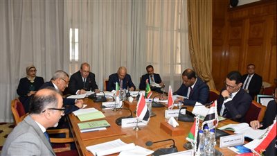 أبو الغيط يؤكد أهمية تعزيز التعاون العربي الإفريقي وعدم ترك الساحة لأطراف أخرى