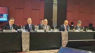 محمد فريد يشارك في اجتماع المنظمة الدولية للهيئات الرقابية على أسواق المال بتايلاند