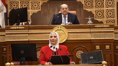 وزيرة التضامن: انتهينا من مسودة أولية لتعديل قانون التعاونيات