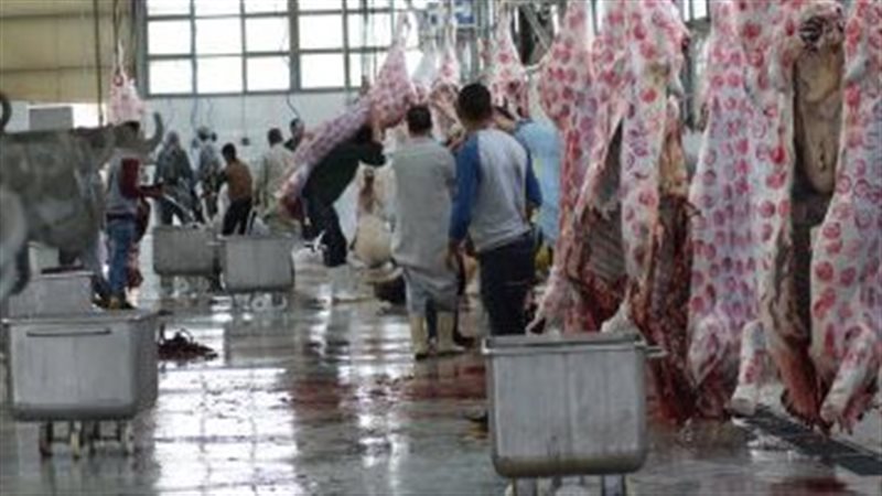 مجازر الذبح، فيتو