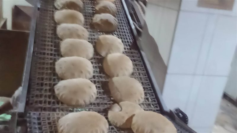 حملات تموينية بالدقهلية،