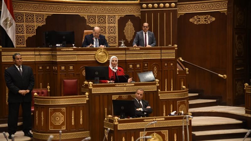 مجلس الشيوخ يناقش