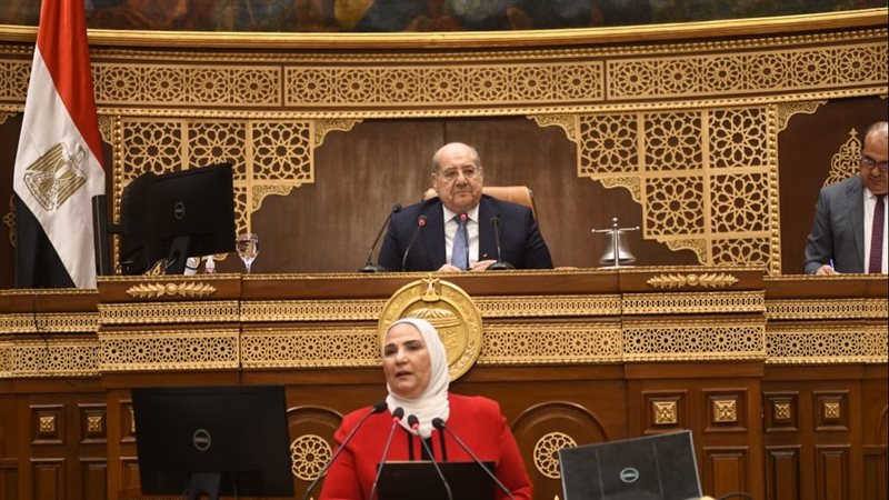 وزيرة التضامن الإجتماعى