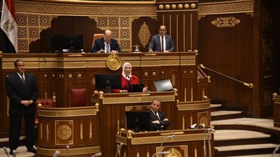 بالأرقام كشف حساب مجلس الشيوخ في دور الانعقاد الثالث