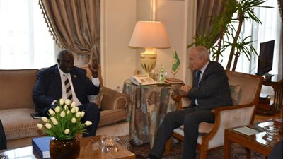 أبو الغيط يستقبل نائب رئيس مجلس السيادة السوداني (صور)