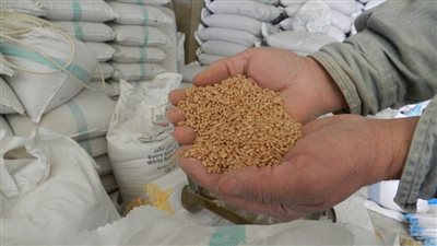 أزمات الغذاء وأسواق الحبوب، أبرز 5 مؤشرات للتحركات السعرية في أسواق السلع العالمية