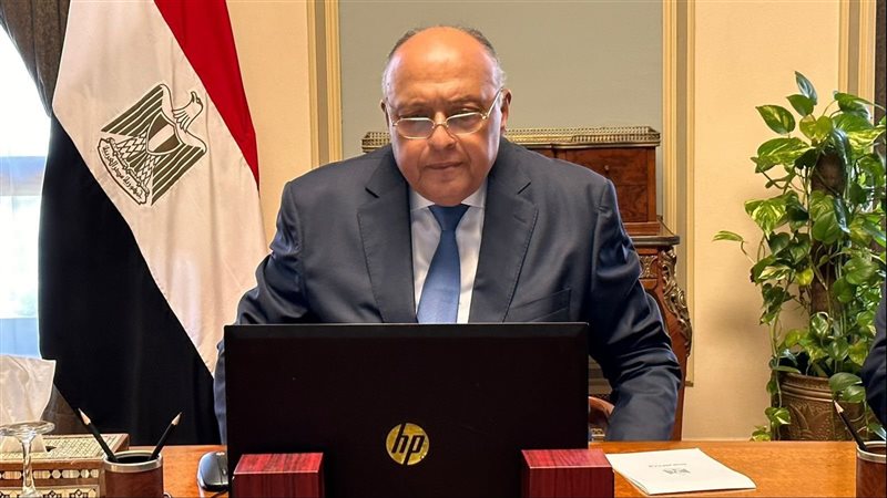 سامح شكرى وزير الخارجية،فيتو