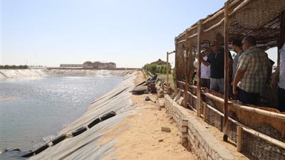 محافظ الوادي الجديد يتفقد مشروعات الاستثمار الزراعي شمال الخارجة (صور)