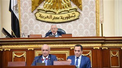 البرلمان يوافق مبدئيا على إنشاء الجهاز المصري للملكية الفكرية