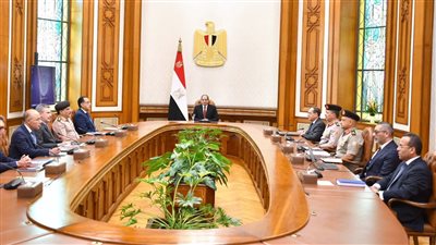 مسئولو الشركات الإيطالية للسيسي: نتطلع لدفع الاستثمار الخاص وتعزيز التعاون في الأنشطة التعدينية 