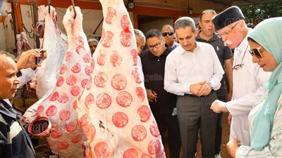 محافظ الغربية يتفقد مجزر السنطة استعدادًا لعيد الأضحى ويؤكد: بالمجان (صور)
