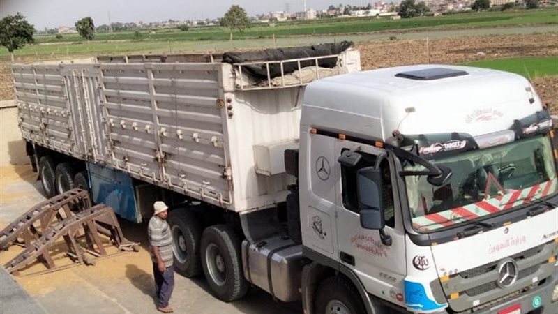 ضبط 316 طن قمح وتوريدهم