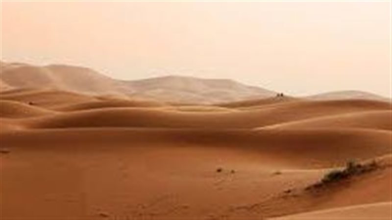 تفسيررؤية الرمل في