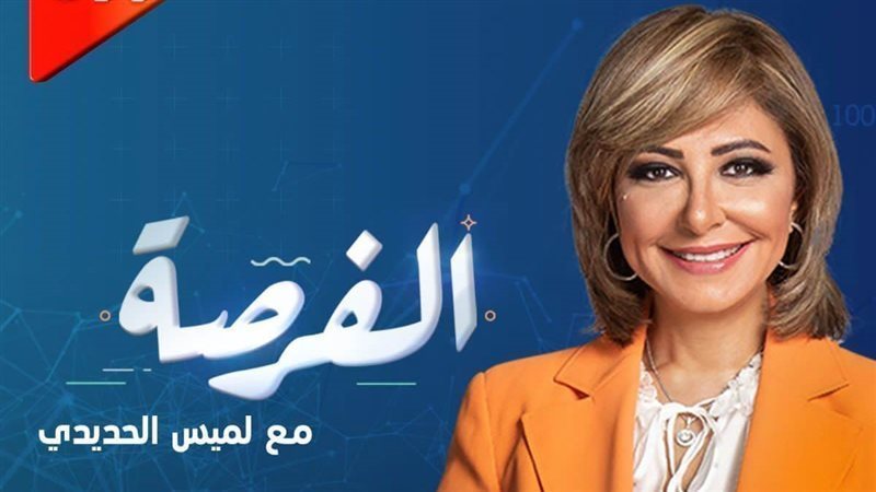 لميس الحديدي، فيتو