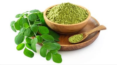 فوائد المورينجا، لمرضى الكوليسترول والسكري وغني بالفيتامينات