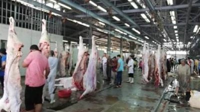 استعدادًا لعيد الأضحى تعرف على خريطة المجازر الحكومية بالمنيا 