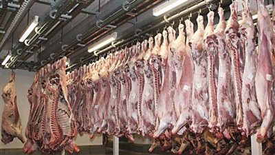 تعقيم 39 مجزرًا في المنيا لاستقبال عيد الأضحى المبارك