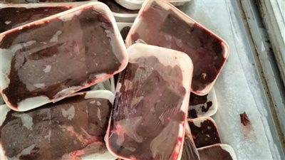 ضبط طن مصنعات لحوم فاسدة في الجيزة (صور)