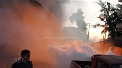 إطلاق حملات رش مكثفة لمكافحة البعوض والذباب في كفر صقر بالشرقية (صور)