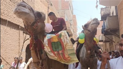 بـ الجمال والصلبان والخيول، أقباط المنيا يحتفلون بمولد الأمين المبارك مارمينا العجايبي، وفرحة الأطفال تسيطر على الاحتفال (صور)