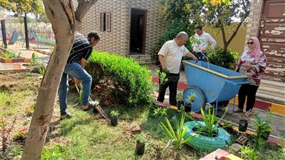 زراعة أشجار مثمرة بمدينة السنطة في الغربية ضمن مبادرة 100 مليون شجرة (صور)