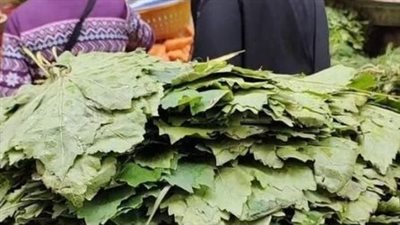أسعار الخضراوات اليوم، ورق العنب يسجل 20 جنيهًا في سوق العبور