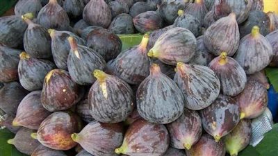 أسعار الفاكهة اليوم، والتين البرشومي يسجل 25 جنيهًا في سوق العبور