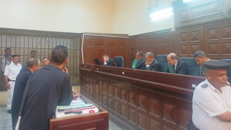 جنايات المحلة