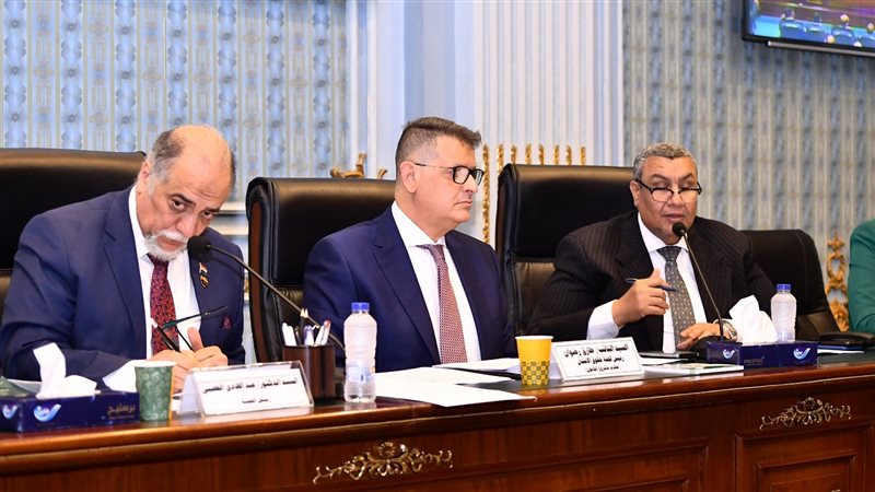 لجنة التضامن الاجتماعي