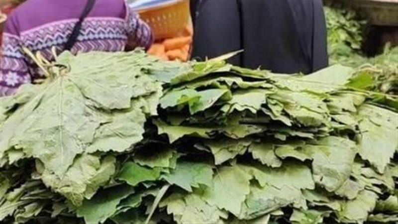 ورق العنب، فيتو