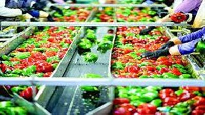 مطالبات برلمانية باستغلال قانون وكالة الصادرات في زيادة التصنيع الزراعى