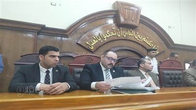 بدأت بالجريمة حتى إحالتها للطب النفسي.. محطات في قضية قاتلة طفلها بالشرقية (فيديو وصور)