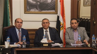 رئيس الوفد: ترشحي لرئاسة الجمهورية وفقا للائحة الحزب