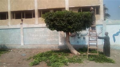 تجميل شوارع وساحات الصلاة بالعياط استقبالا لعيد الأضحى المبارك (صور)